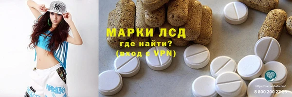 эйфоретик Вяземский