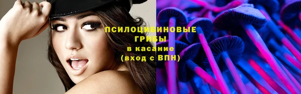 эйфоретик Вяземский
