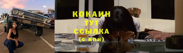 эйфоретик Вяземский