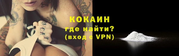 эйфоретик Вяземский