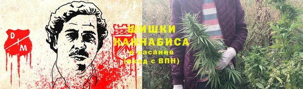 эйфоретик Вязьма