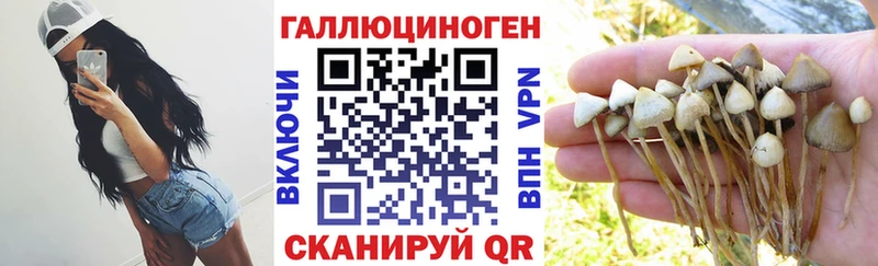 Псилоцибиновые грибы GOLDEN TEACHER  Купить  Коммунар 
